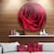 Designart - Red Rose Petals with Rain Droplets' Ultra Glossy Floral Metal Circle Wall Art